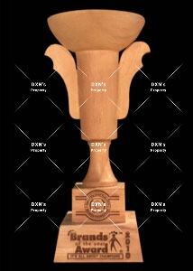 BRANDS OF THE YEAR AWARD 2010